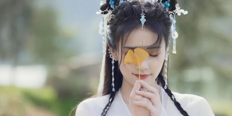 几千部各小说网站小说电子书大合集